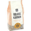 GARANT SOLROSKÄRNOR 400G - 12ST